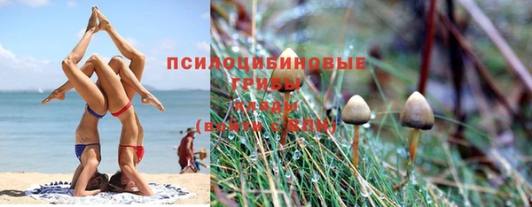 mdpv Алексеевка